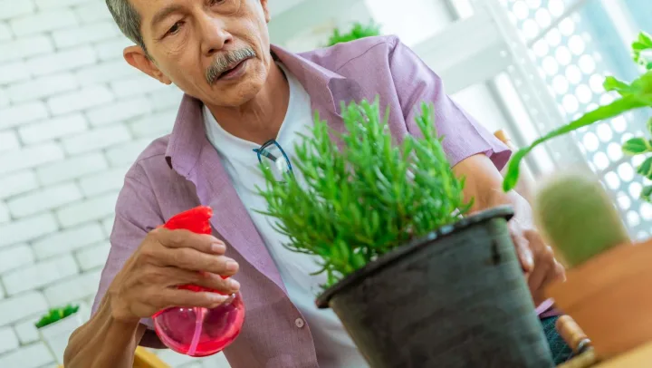 elderly man taking care of plant